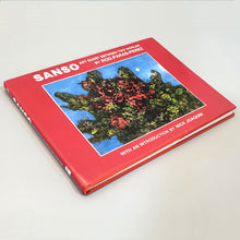 Load image into Gallery viewer, Art Quest Between Two Worlds | Sanso